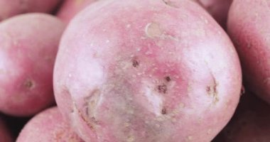 Patates kırmızı toplu tablo