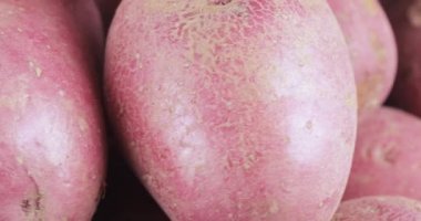 Patates kırmızı toplu tablo