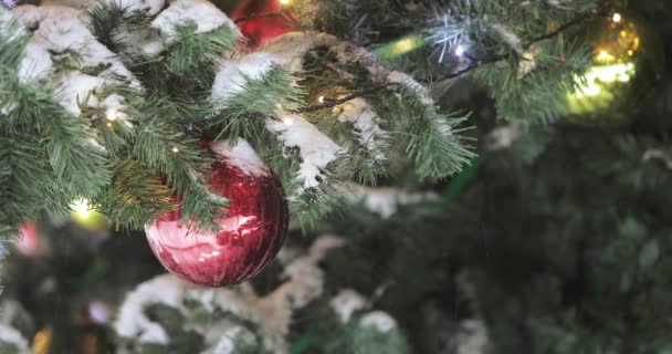 Lampjes op de kerstboom — Stockvideo