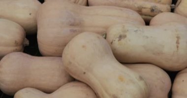 Dekoratif sokak sonbahar Gastronomi Festivali 