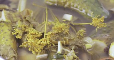 Dereotu ile salatalık turşu