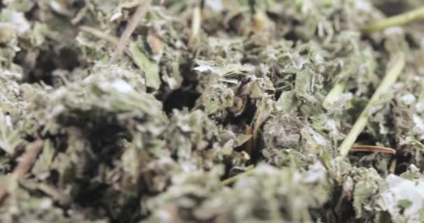 Framboises sèches en vrac 