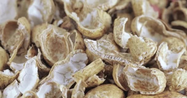 Жареные арахисовые скорлупы — стоковое видео