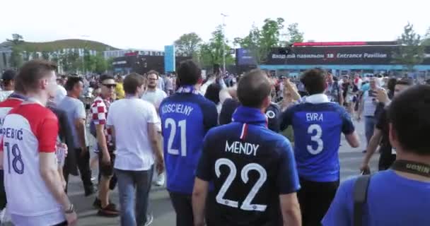 Fani piłki nożnej Final — Wideo stockowe