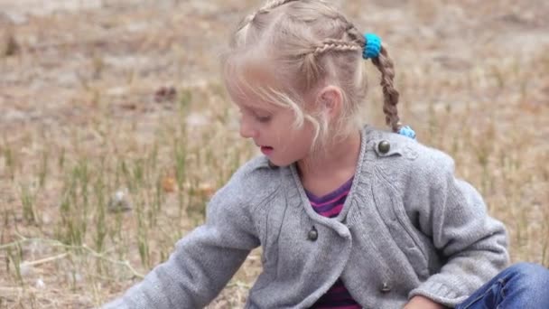 Meisje kind blazen pluis van bulrush — Stockvideo