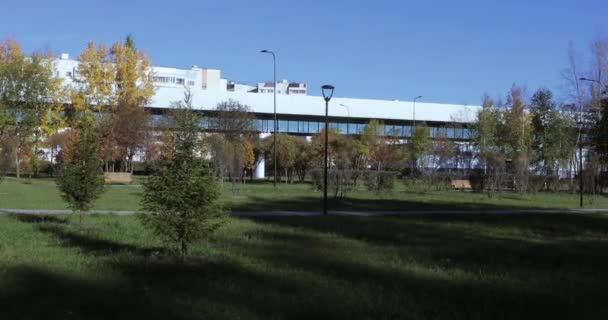 Метро над парком — стоковое видео