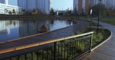 Şehir parkında gölet