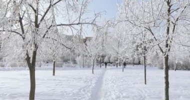 karla kaplı Şehir Parkı
