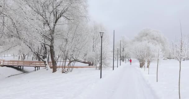 Parque urbano cubierto de nieve — Vídeo de stock