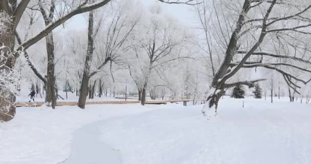 Parque da cidade coberto de neve — Vídeo de Stock