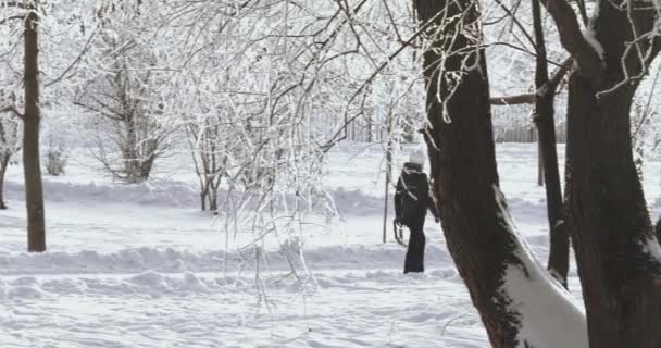 Trädgrenar i hesparfrost — Stockvideo