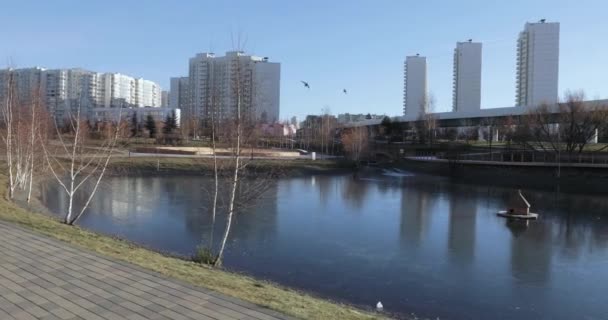 Cascade vijver in het park — Stockvideo