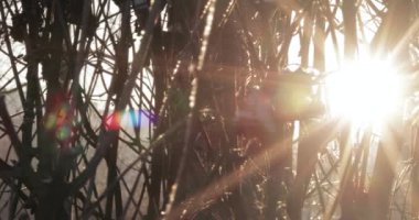 kar kaplı şubeleri