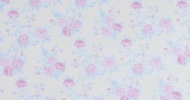 Koleksiyon defteri için arkaplan