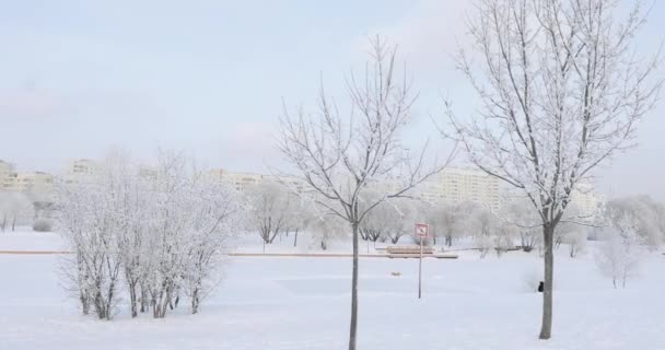 Zasněžený městský park — Stock video