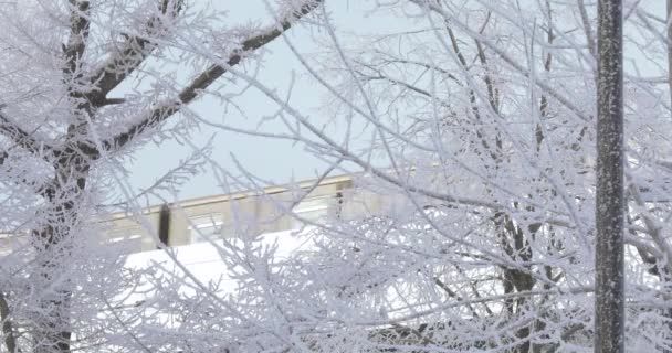 Carros de metrô no inverno — Vídeo de Stock