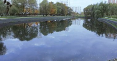 Şehir parkında gölet
