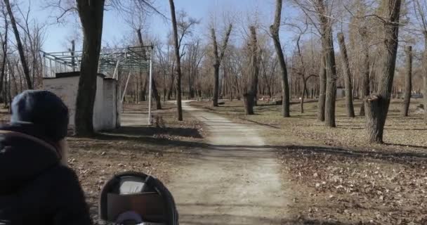 Moeder met een wandelwagen in het park — Stockvideo