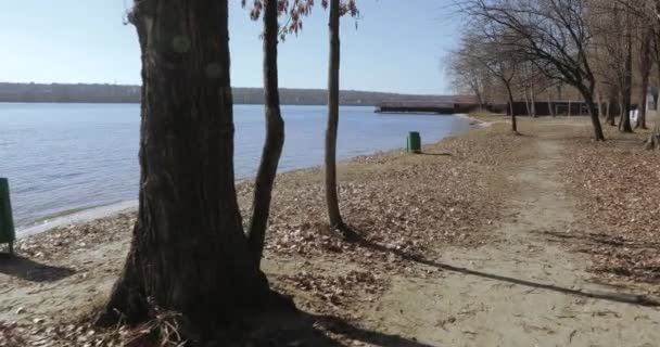 Mülleimer am Ufer — Stockvideo