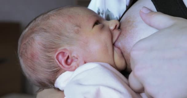 美しい女性は、赤ちゃんを授乳します。 — ストック動画