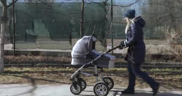 Young mother walking with a stroller — Stock Video