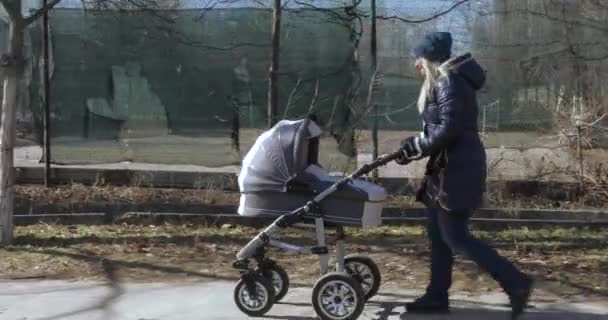 Jonge moeder wandelen met een kinderwagen — Stockvideo