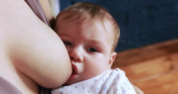 Una giovane donna nutre il bambino — Video Stock