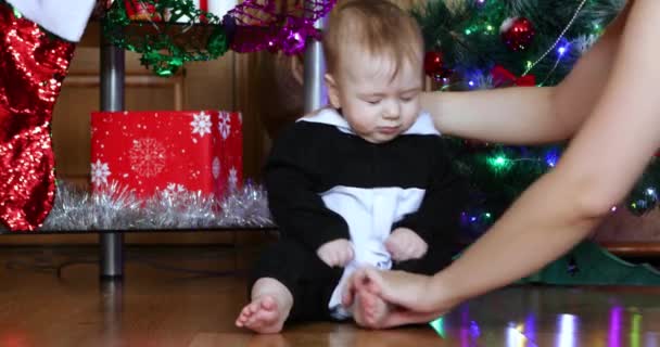 Förberedelser inför nyår fotosession — Stockvideo