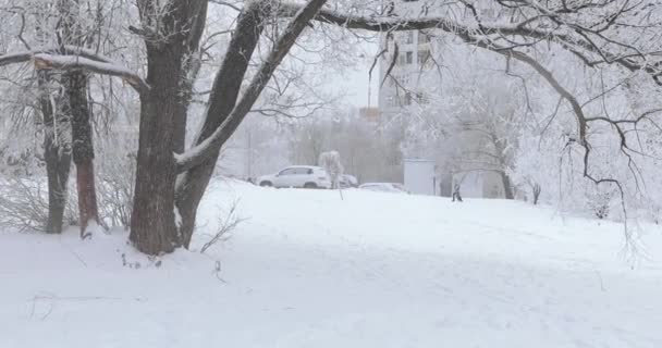 Parque urbano cubierto de nieve — Vídeo de stock