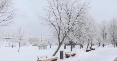 Karda Ahşap banklar