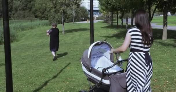 Jonge moeder met haar moeder in het park — Stockvideo