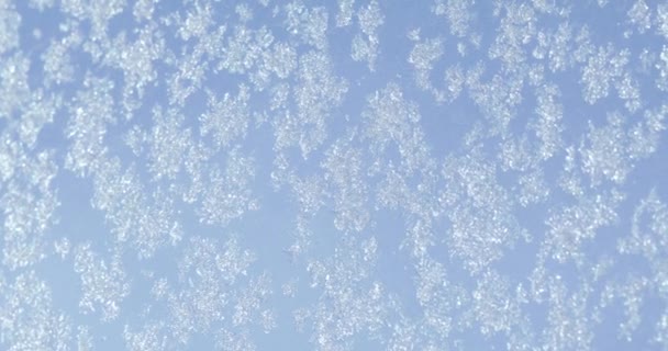 Flocons de neige sur le verre — Video