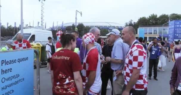 Tifosi di calcio della finale — Video Stock