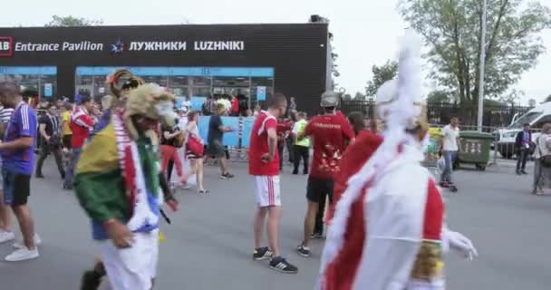 Fußballfans des Finales — Stockvideo