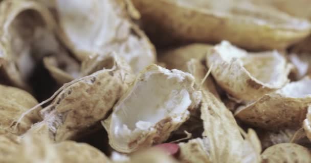 Жареные арахисовые скорлупы — стоковое видео