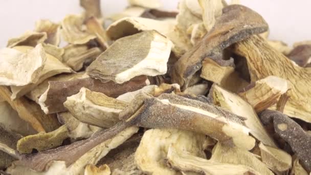 Gedroogde witte champignons — Stockvideo