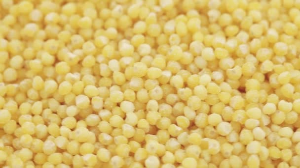 Millet geschuurd in bulk — Stockvideo