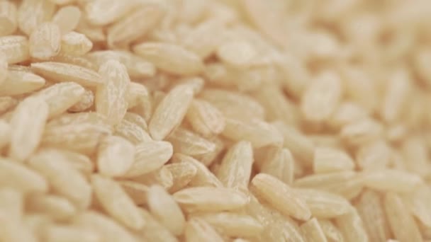 Brązowy ryż luzem — Wideo stockowe