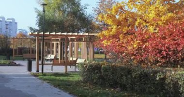 Ahşap banklar ve tasarımlar Park