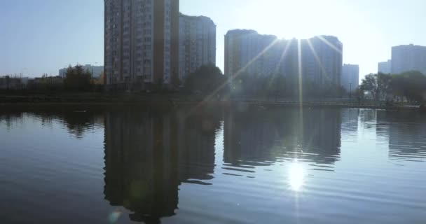 Lagoa no parque da cidade — Vídeo de Stock