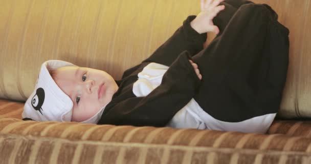 Baby liegt auf der Couch — Stockvideo