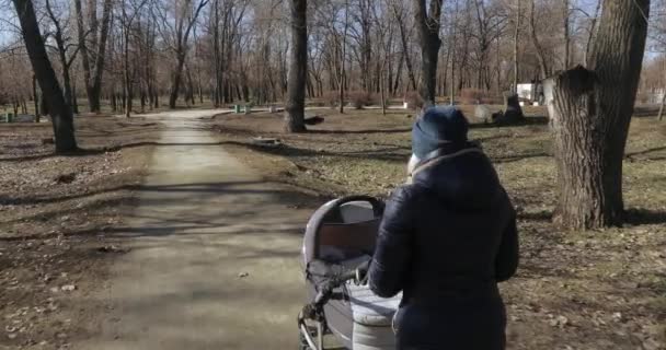 妈妈带着婴儿车在公园里 — 图库视频影像