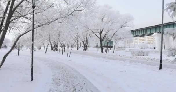 Parque urbano cubierto de nieve — Vídeos de Stock