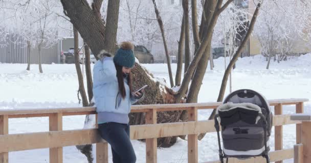 Mãe com um carrinho no parque de inverno — Vídeo de Stock