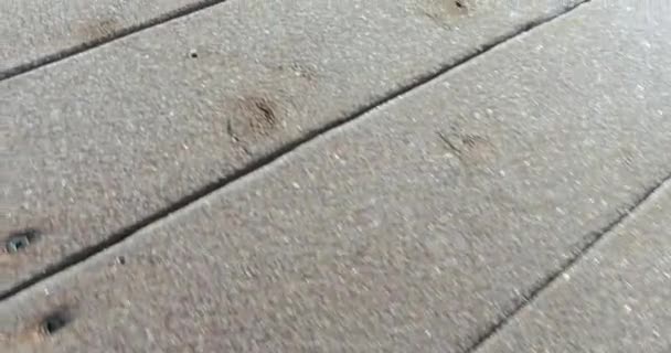 木板上的霜 — 图库视频影像
