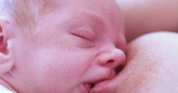 Dziecko jest w stanie uśpienia podczas karmienia piersią — Wideo stockowe