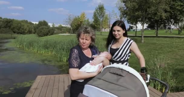 Mamá con hija en el estanque — Vídeos de Stock