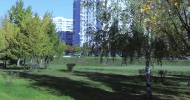Şehir parkındaki sokak.