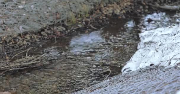 Derretimiento de nieve y hielo — Vídeos de Stock