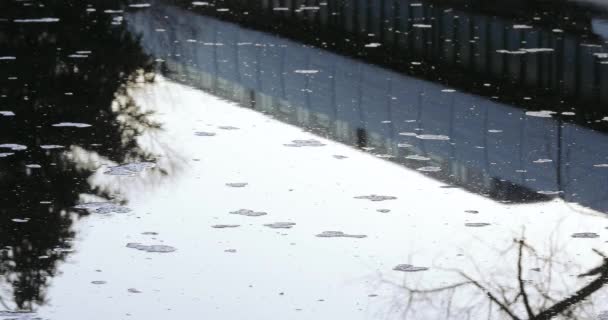 融化的冰雪 — 图库视频影像